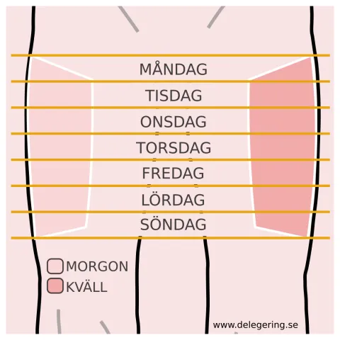 Schema injektion lämpliga områden på låren